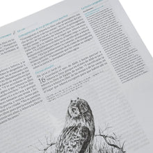Cargar imagen en el visor de la galería, BIBLIA ILUSTRADA DE LA CREACIÓN