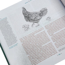 Cargar imagen en el visor de la galería, BIBLIA ILUSTRADA DE LA CREACIÓN