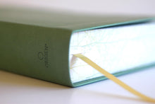 Cargar imagen en el visor de la galería, RV60 BIBLIA LETRA GIGANTE, SIMIL PIEL VERDE CON PÁJAROS CANTOS PINTADOS