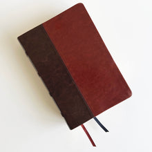 Cargar imagen en el visor de la galería, RV60 BIBLIA DE ESTUDIO DAKE- TAMAÑO GRANDE PIEL