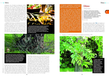 Cargar imagen en el visor de la galería, DICCIONARIO ECICLOPÉDICO DE ANIMALES Y PLANTAS DE LA BIBLIA