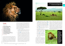 Cargar imagen en el visor de la galería, DICCIONARIO ECICLOPÉDICO DE ANIMALES Y PLANTAS DE LA BIBLIA