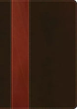 Cargar imagen en el visor de la galería, NTV BIBLIA DE ESTUDIO DIARIO VIVIR IMITACIÓN  PIEL CAFÉ OSCURO/ CAFÉ CLARO