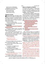 Cargar imagen en el visor de la galería, NTV BIBLIA DE PROMESAS EDICIÓN PARA HOMBRES JÓVENES TAPA DURA