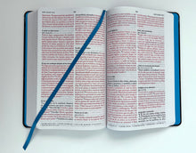 Cargar imagen en el visor de la galería, BIBLIA REINA VALERA 1960 TAPA DURA DE TELA LEÓN AGUAMARINA- LETRA GRANDE TAMAÑO MANUAL FONT 10. 5