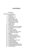 Cargar imagen en el visor de la galería, 100 BOSQUEJOS DE SERMONES DEL ANTIGUO TESTAMENTO