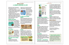 Cargar imagen en el visor de la galería, NVI BIBLIA AVENTURA- LA BIBLIA #1 PARA NIÑOS AHORA TODO COLOR-D