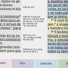 Cargar imagen en el visor de la galería, RVR 1960 BIBLIA DE ARCOIRIS TOSTADO NEGRO SIMIL PIEL