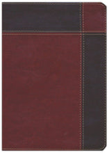 Cargar imagen en el visor de la galería, RV 1960 BIBLIA DE ESTUDIO RYRIE DUO TONO MARRÓN AMPLIADA