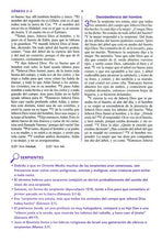 Cargar imagen en el visor de la galería, BIBLIA DE UNA JOVEN CONFORME AL CORAZÓN DE DIOS