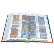 Cargar imagen en el visor de la galería, RVR1960 BIBLIA DE ESTUDIO ARCOIRIS- MULTICOLOR TAPA DURA