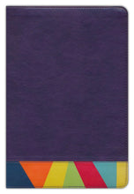 Cargar imagen en el visor de la galería, RVR1960 BIBLIA DE ESTUDIO ARCOIRIS- MORADO SIMIL PIEL