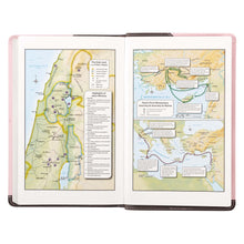 Cargar imagen en el visor de la galería, KJV BIBLE BROWN PINK FAUX LEATHER DELUXE GIFT BIBLE RED LETTER EDITION RIBBON MARKER