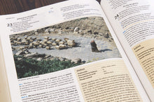Cargar imagen en el visor de la galería, RVR1960 BIBLIA DE ESTUDIO HOLMAN- LA PALABRA DE DIOS PARA VIDA