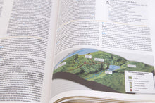 Cargar imagen en el visor de la galería, RVR1960 BIBLIA DE ESTUDIO HOLMAN- LA PALABRA DE DIOS PARA VIDA