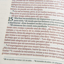 Cargar imagen en el visor de la galería, NVI BIBLIA DE APUNTES- AZULEJOS COLOR SALVIA-SIMIL PIEL