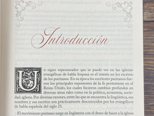 Cargar imagen en el visor de la galería, VICTORIA SOBRE EL PECADO