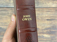 Cargar imagen en el visor de la galería, VICTORIA SOBRE EL PECADO