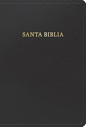BIBLIA REINA VALERA 1960- NEGRO TAMAÑO MANUAL IMITACIÓN PIEL