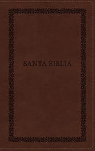 Cargar imagen en el visor de la galería, BIBLIA RVR60- BIBLIA CON ÍMAGENES HISTÓRICAS DE TIERRA SANTA- ULTRAFINA LETRA GRANDE CON CIERRE
