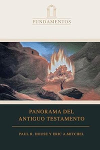 PANORAMA DEL ANTIGUO TESTAMENTO