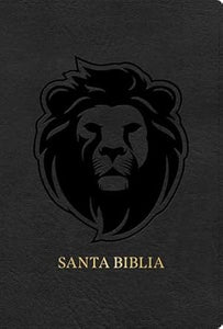 BIBLIA REINA VALERA 1960 CENIZA SIMIL PIEL