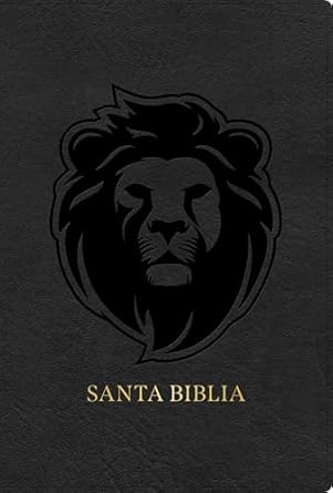 BIBLIA REINA VALERA 1960 CENIZA SIMIL PIEL