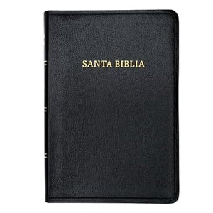 BIBLIA REINA VALERA 1960- LETRA GIGANTE NEGRO IMITACIÓN PIEL