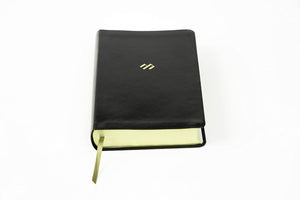 BIBLIA REINA VALERA 1960 TEMÁTICA DE ESTUDIO- NEGRO SIMIL PIEL