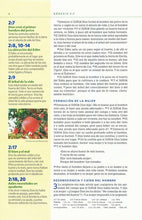 Cargar imagen en el visor de la galería, NBLA BIBLIA VISUAL DE ESTUDIO  PARA NIÑOS
