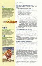 Cargar imagen en el visor de la galería, NBLA BIBLIA VISUAL DE ESTUDIO  PARA NIÑOS
