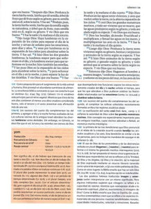 BIBLIA DE ESTUDIO HOLMAN REINA VALERA 1960 CAFÉ SÍMIL PIEL