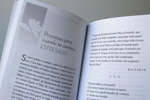 PROMESAS DE DIOS PARA TIEMPOS DIFÍCILES