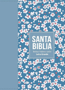 BIBLIA RVR60 COMPACTA SIMIL PIEL