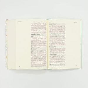 BIBLIA ILUSTRA TU FE- NVI