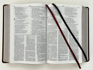 RV60 BIBLIA DE ESTUDIO DAKE- TAMAÑO GRANDE PIEL