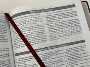 RV60 BIBLIA DE ESTUDIO DAKE- TAMAÑO GRANDE PIEL