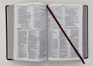 RV60 BIBLIA DE ESTUDIO DAKE- TAMAÑO GRANDE PIEL