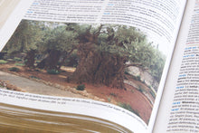 Cargar imagen en el visor de la galería, RVR1960 BIBLIA DE ESTUDIO HOLMAN- LA PALABRA DE DIOS PARA VIDA EN PIEL- DOS TONOS CHOCOLATE Y TERRACOTA
