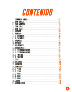 LOS LIBROS DE LA BIBLIA EXPLICADOS EN GRÁFICOS- NUEVO TESTAMENTO
