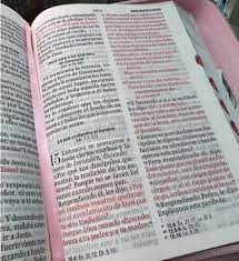 RV1960 SANTA BIBLIA REINA VALERA- BOHO ROSA ÍNDICE Y ZIPPER