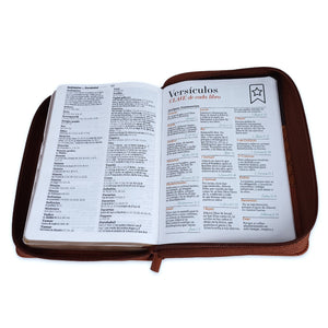 RV1960 SANTA BIBLIA REINA VALERA TRICOLOR CAFÉ