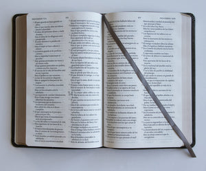 RVR 1960 BIBLIA NOMBRES DE DIOS- LETRA GRANDE TAMANO MANUAL SIMIL PIEL