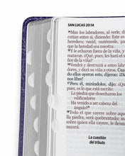 Cargar imagen en el visor de la galería, RVR1960 BIBLIA  BIFLORAL LILA LETRA GRANDE 12 PTS PLATA CON ÍNDICE Y CANTO PLATEADO IMITACIÓN PIEL
