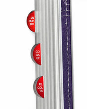 Cargar imagen en el visor de la galería, RVR1960 BIBLIA  BIFLORAL LILA LETRA GRANDE 12 PTS PLATA CON ÍNDICE Y CANTO PLATEADO IMITACIÓN PIEL

