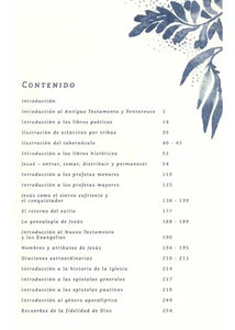 UN AÑO EN LA BIBLIA- INSPÍRATE EN LAS ESCRITURAS PARA TU DEVOCIONAL DIARIO