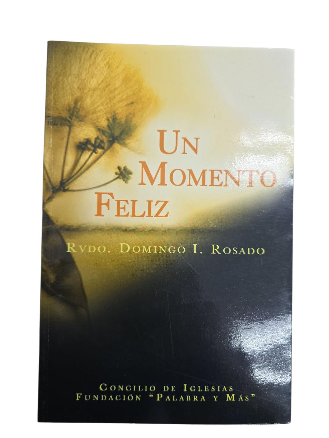 UN MOMENTO FELIZ