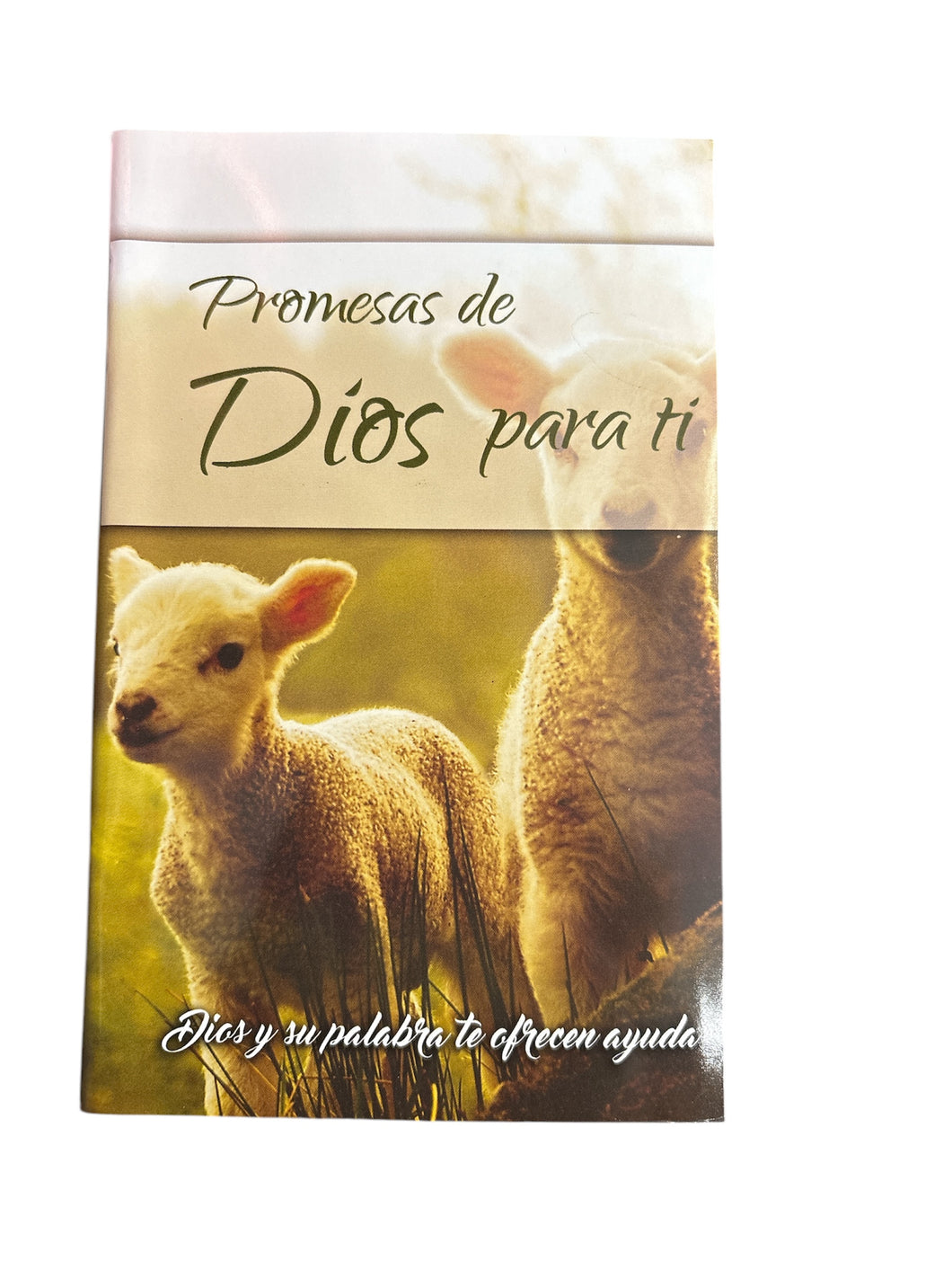 PROMESAS DE DIOS PARA TI- DIOS Y SU PALABRA TE OFRECEN AYUDA