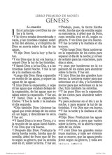 Cargar imagen en el visor de la galería, BIBLIA RVR60 LETRA SUPER GIGANTE- SIMIL PIEL
