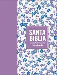 BIBLIA RVR60 COMPACTA SIMIL PIEL